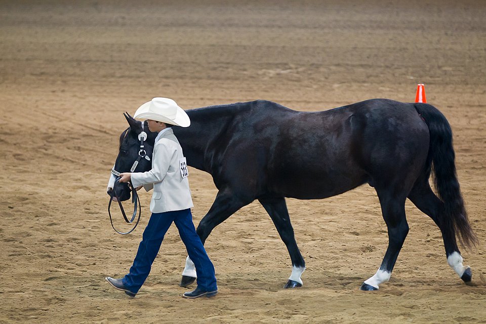 4H-State-2016-1407.jpg