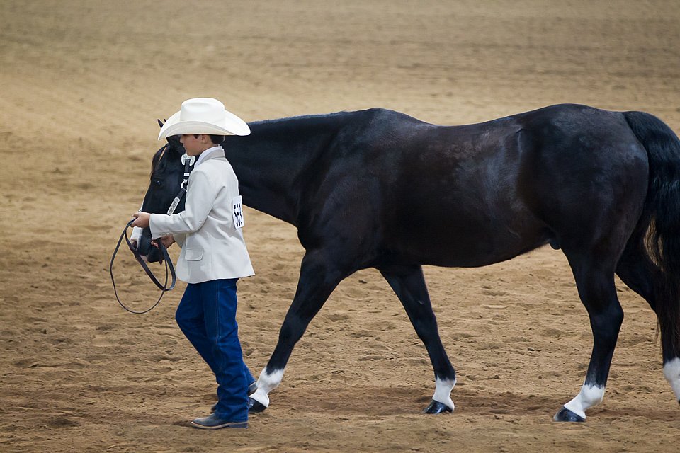 4H-State-2016-1408.jpg