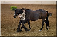 4H-State-2016-1369.jpg