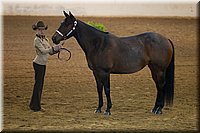 4H-State-2016-1370.jpg