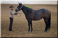 4H-State-2016-1371.jpg