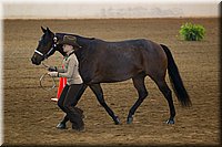 4H-State-2016-1374.jpg