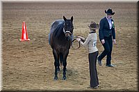 4H-State-2016-1378.jpg