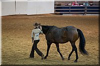 4H-State-2016-1382.jpg