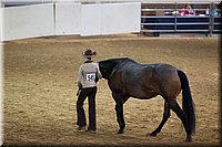 4H-State-2016-1383.jpg