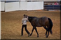 4H-State-2016-1384.jpg