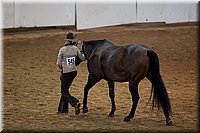 4H-State-2016-1385.jpg