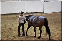 4H-State-2016-1386.jpg