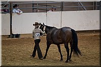 4H-State-2016-1387.jpg