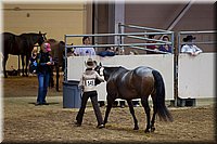 4H-State-2016-1388.jpg