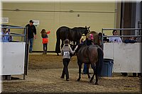 4H-State-2016-1389.jpg