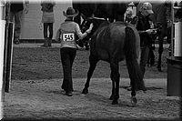 4H-State-2016-1390.jpg