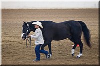 4H-State-2016-1395.jpg