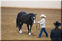 4H-State-2016-1399.jpg