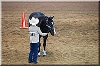 4H-State-2016-1401.jpg