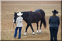 4H-State-2016-1404.jpg