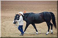 4H-State-2016-1406.jpg