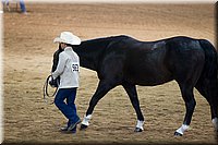 4H-State-2016-1410.jpg