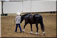 4H-State-2016-1411.jpg