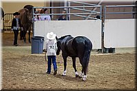 4H-State-2016-1412.jpg