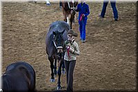 4H-State-2016-1417.jpg