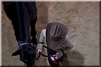 4H-State-2016-1431.jpg