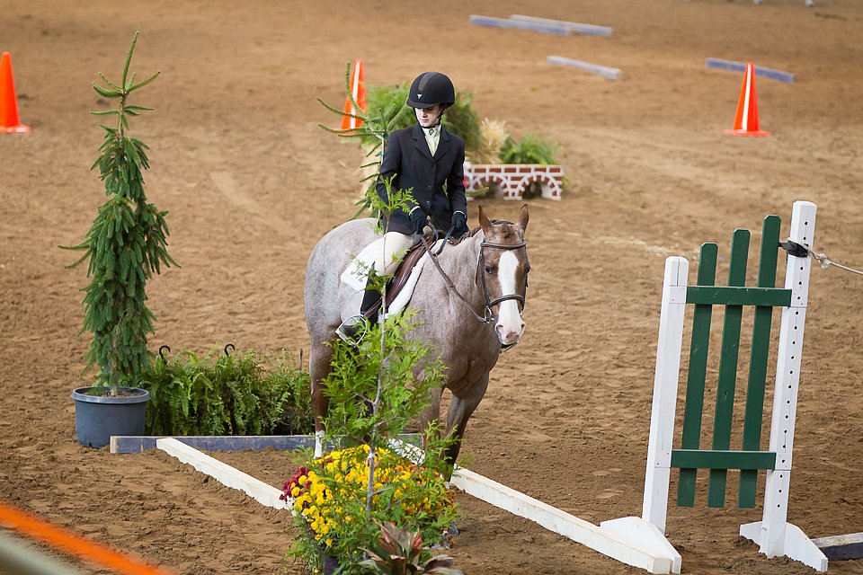 4H-State-2016-0524.jpg