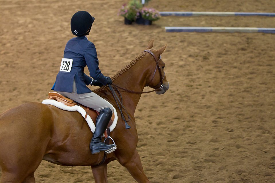 4H-State-2016-0560.jpg