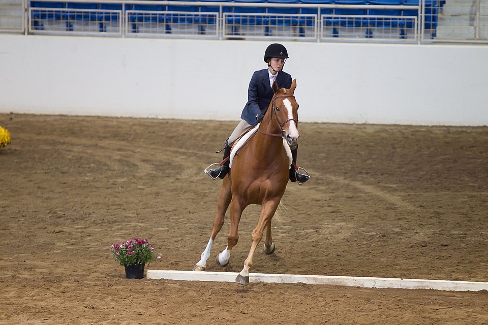 4H-State-2016-0561.jpg