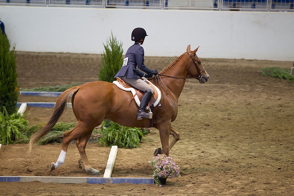 4H-State-2016-0562.jpg