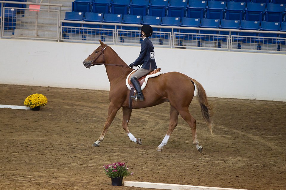 4H-State-2016-0563.jpg