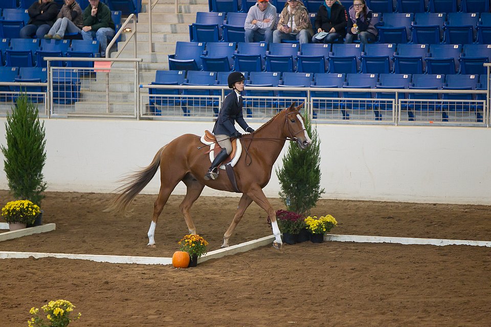 4H-State-2016-0565.jpg