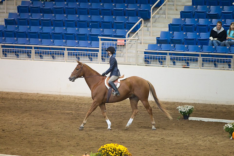 4H-State-2016-0567.jpg