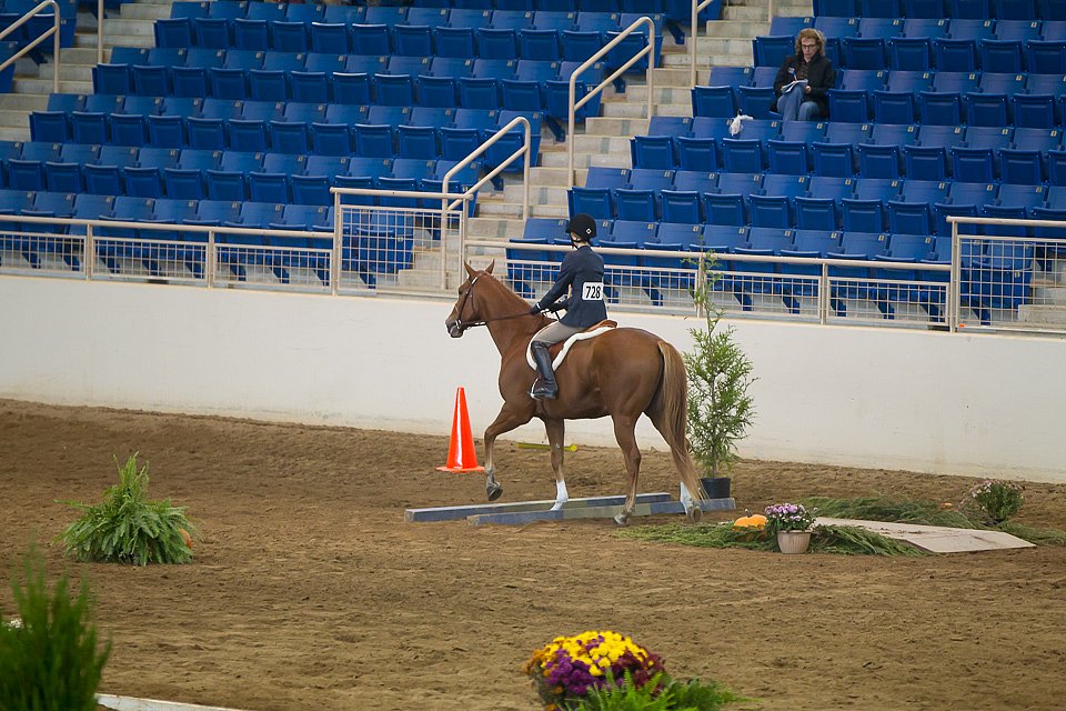 4H-State-2016-0569.jpg