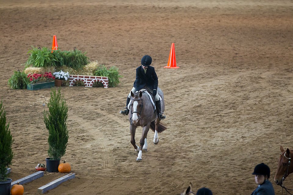 4H-State-2016-0570.jpg