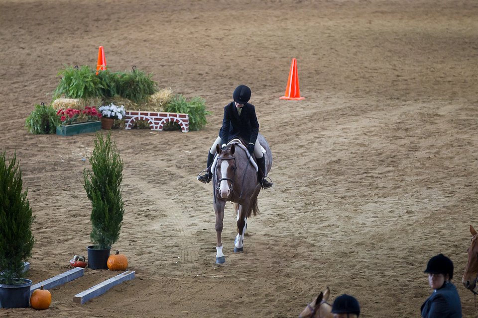 4H-State-2016-0571.jpg
