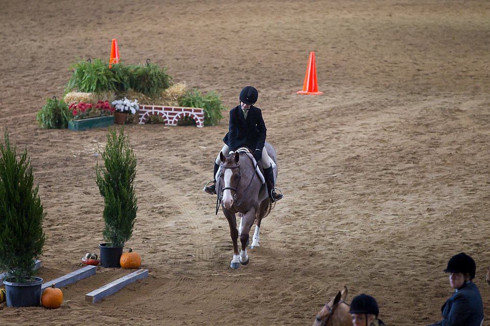 4H-State-2016-0573.jpg