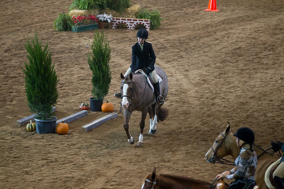 4H-State-2016-0574.jpg