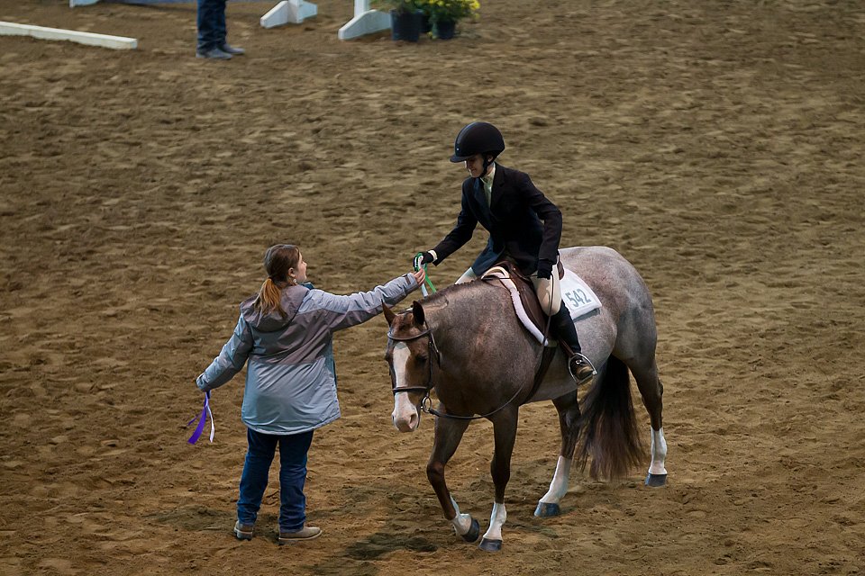 4H-State-2016-0575.jpg