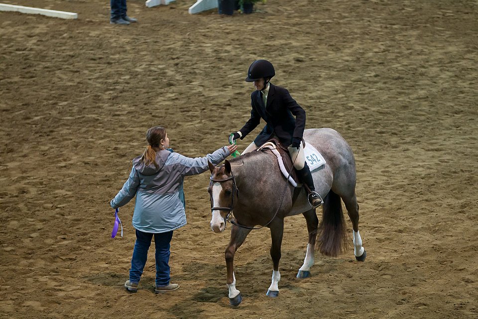 4H-State-2016-0576.jpg