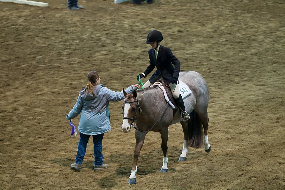 4H-State-2016-0577.jpg