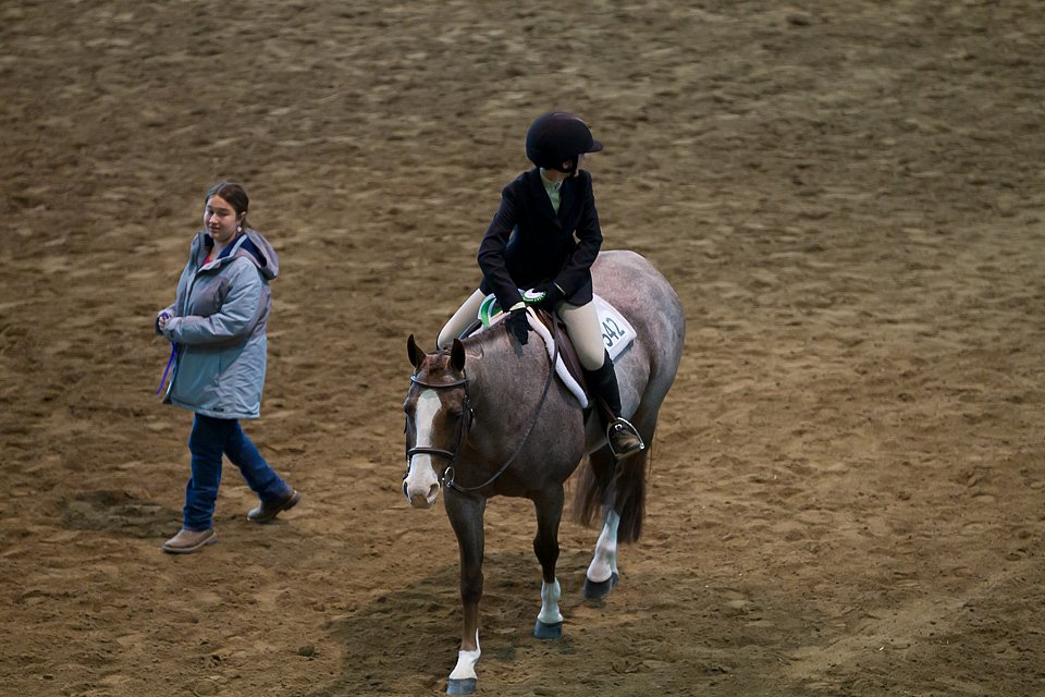 4H-State-2016-0578.jpg