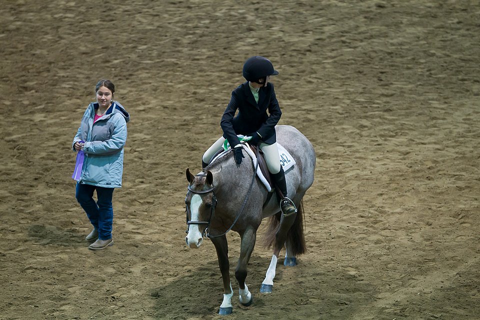 4H-State-2016-0580.jpg
