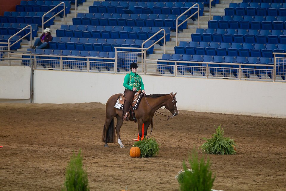 4H-State-2016-0608.jpg