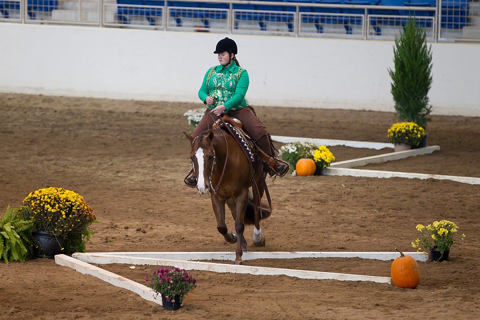4H-State-2016-0610.jpg