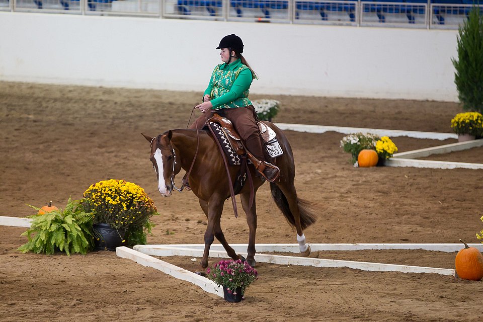 4H-State-2016-0611.jpg