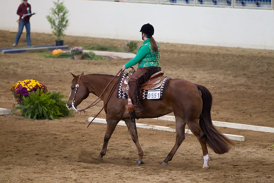 4H-State-2016-0612.jpg