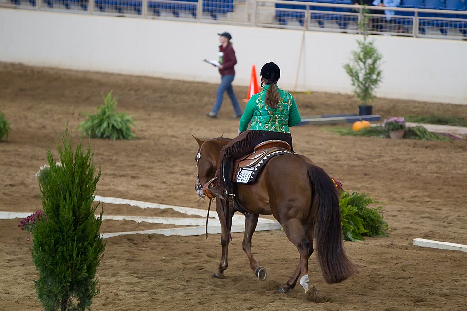 4H-State-2016-0613.jpg