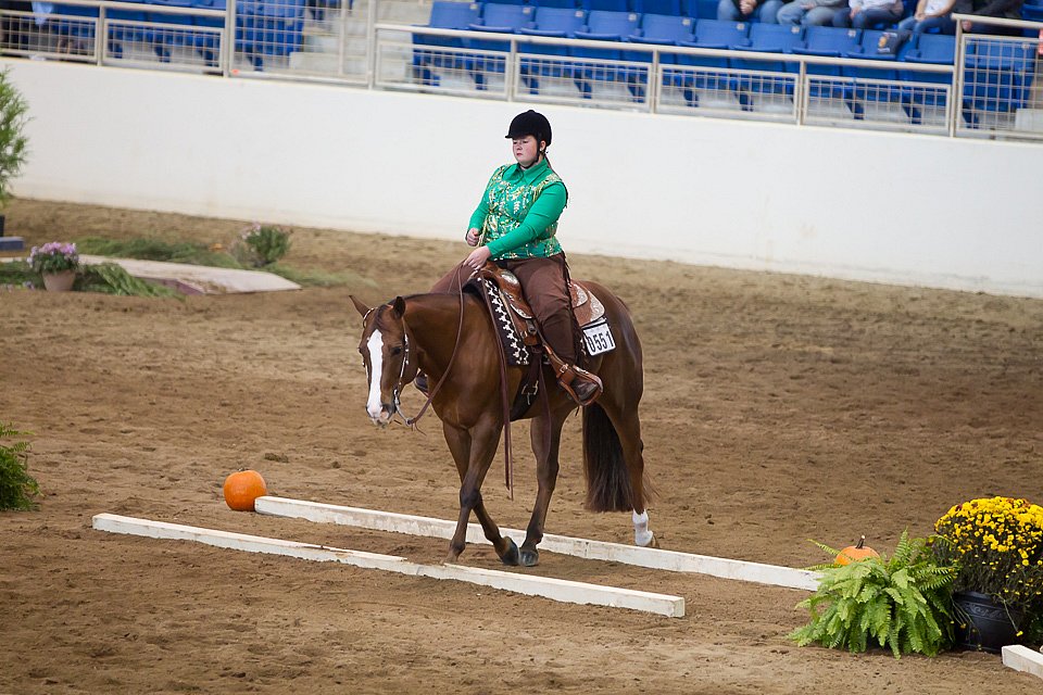 4H-State-2016-0614.jpg