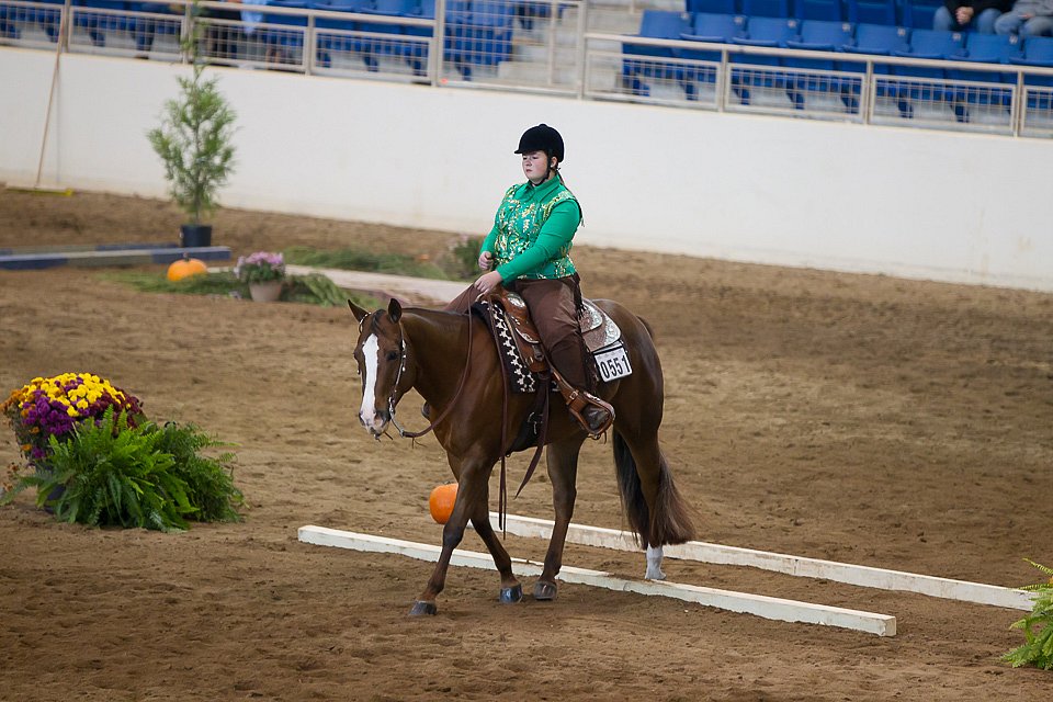 4H-State-2016-0615.jpg